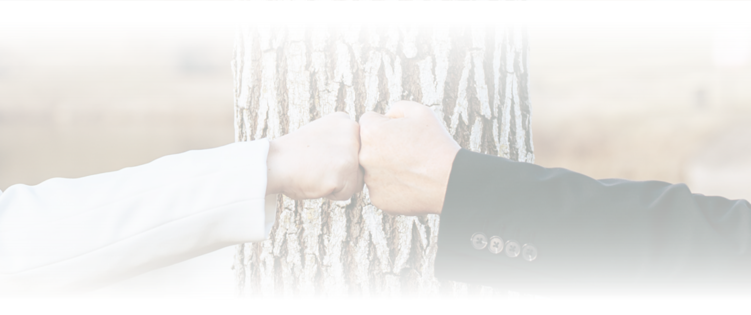 Referenzen Partner LH Bauunternehmung Leonie Häuser